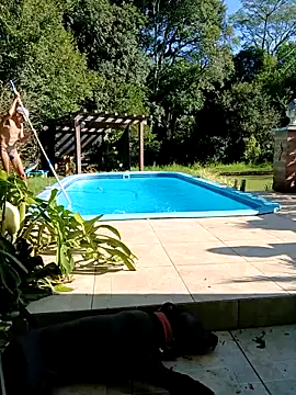 Snapshot of dutra498 chatting on 2, 3, 2026 dutra498 online show from 2, 3, 2026