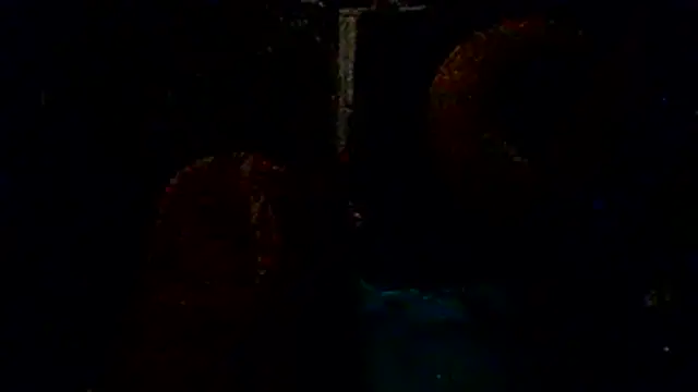 fuckineverett online show from 14, 4, 2026