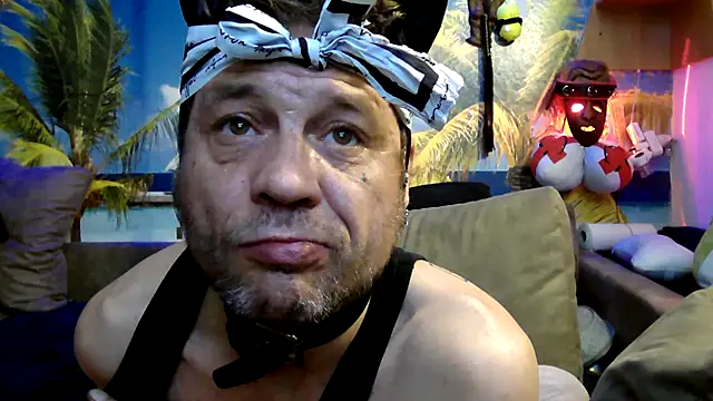 druckfug online show from 3, 12, 2025