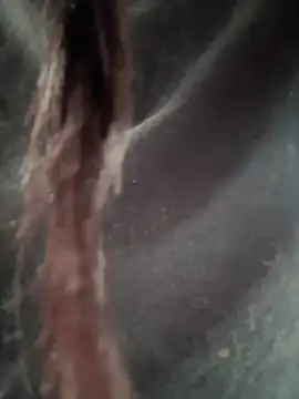 Snapshot of __IRIS__ chatting on 14, 2, 2025 IRIS online show from 14, 2, 2025