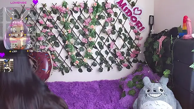 Snapshot of MidoriQuiinn chatting on 28, 1, 2025 MidoriQuiinn online show from 28, 1, 2025