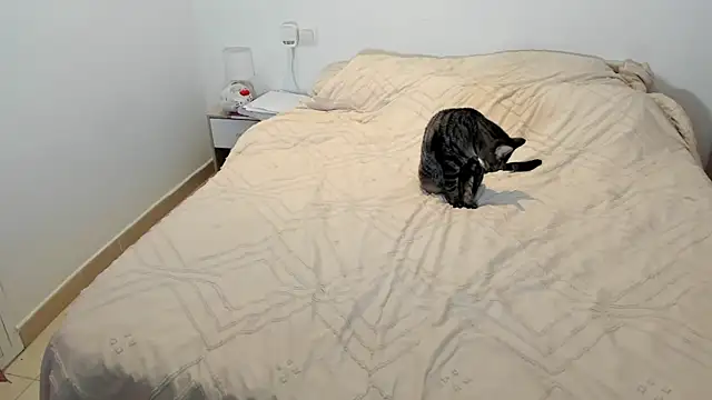 MariaMeir online show from 10, 1, 2026