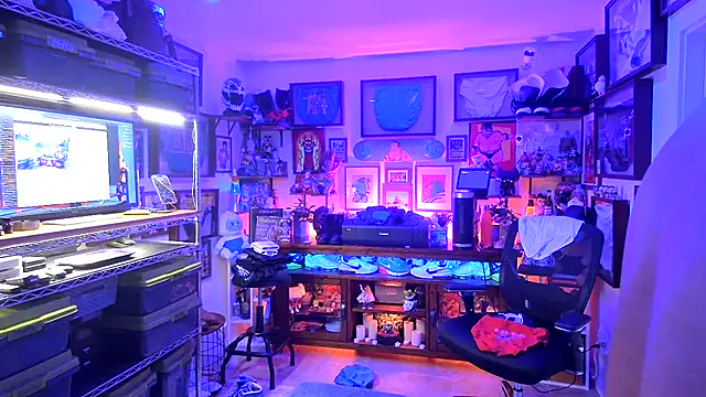 Briefs bud online show from 19, 12, 2024