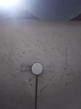 marie12345679 online show from 26, 2, 2026