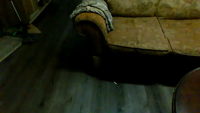 Yankeedave420 online show from 29, 1, 2025