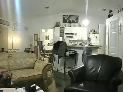 Yankeedave420 online show from 17, 2, 2025