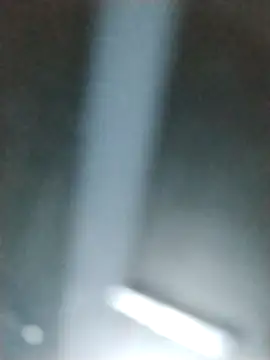 Yankeedave420 online show from 6, 2, 2026