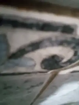 Junior013R online show from 17, 9, 2025