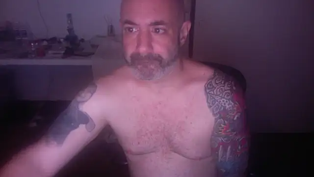 Snapshot of palidin1 chatting on 6, 7, 2026 palidin1 online show from 6, 7, 2026