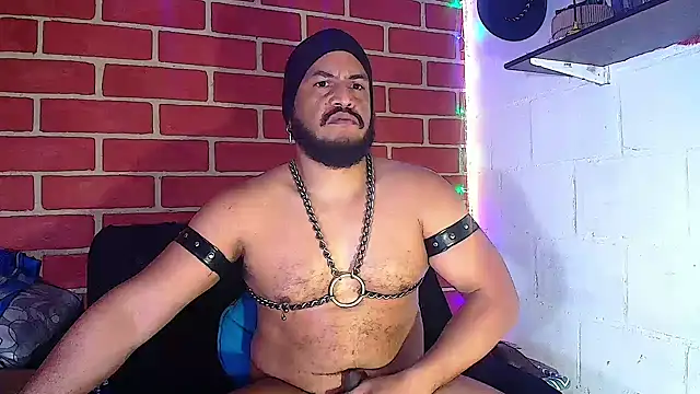 the master foal  online show from 14, 1, 2025