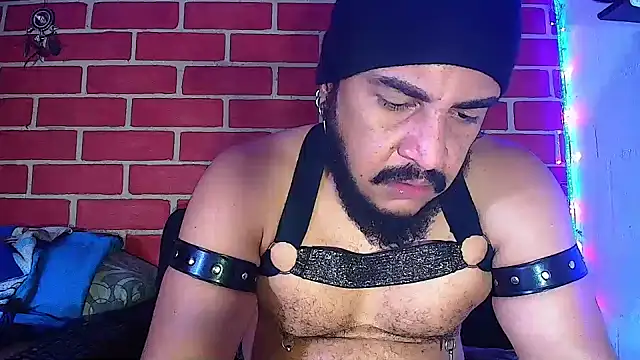 the master foal  online show from 16, 1, 2025