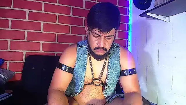 the master foal  online show from 22, 1, 2025