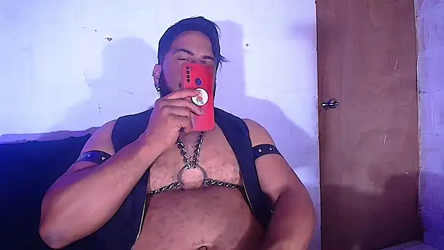 the master foal  online show from 8, 2, 2025