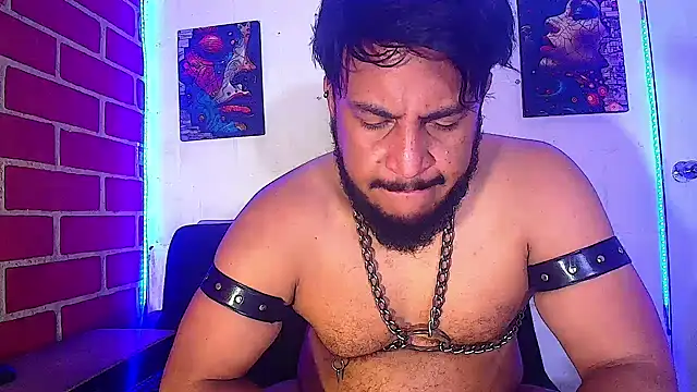 the master foal  online show from 20, 2, 2025