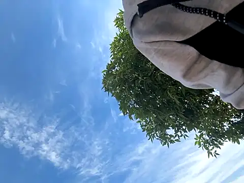 kingdennis6666 online show from 17, 9, 2025