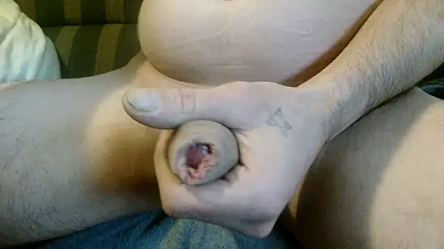 PikWilInPoes online show from 8, 12, 2024