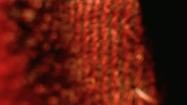 rockhead1971 online show from 18, 10, 2025