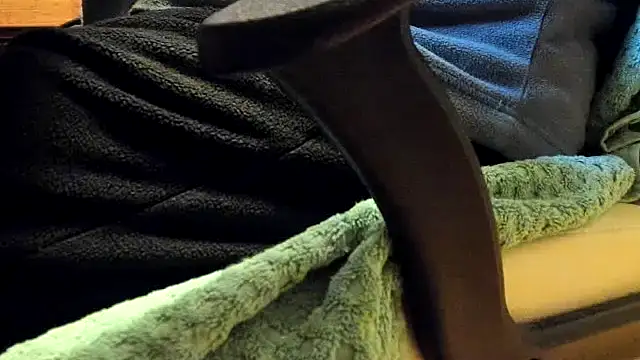 leccaleccafiga online show from 4, 2, 2026