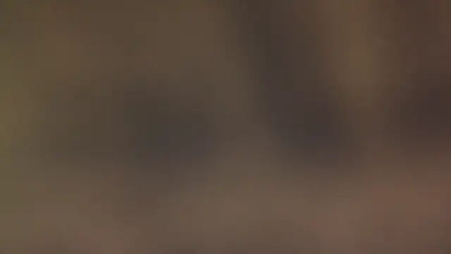 leccaleccafiga online show from 12, 3, 2026