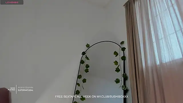 sushiboxxx online show from 26, 11, 2025