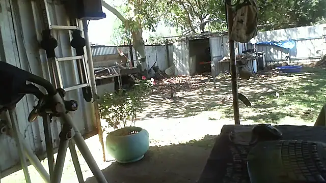 herbie010666 online show from 6, 11, 2025