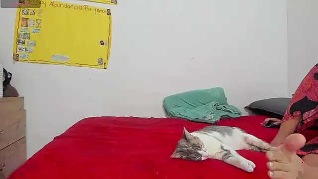 Snapshot of Hela_wet chatting on 24, 11, 2025 Hela wet online show from 24, 11, 2025