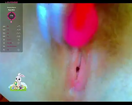 LexxNikki online show from 23, 11, 2025