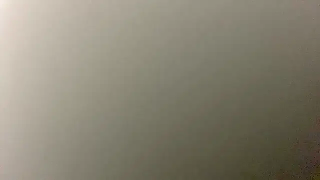 Snapshot of Pussy_hunter225 chatting on 2, 12, 2025 Pussy hunter225 online show from 2, 12, 2025