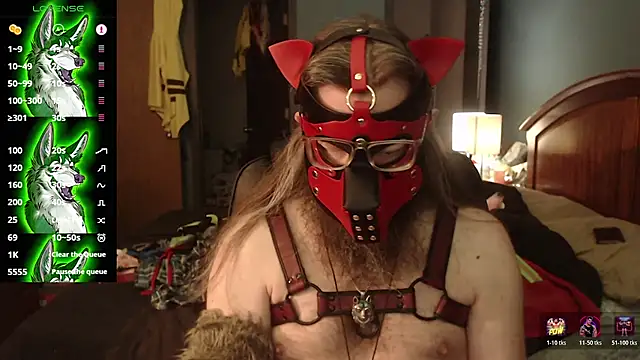 Snapshot of kinkywolf429 chatting on 22, 7, 2026 kinkywolf429 online show from 22, 7, 2026