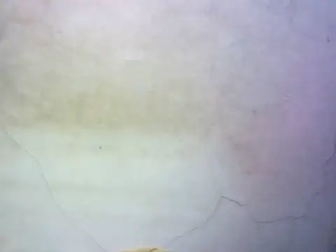 Snapshot of wet_babexxx chatting on 9, 10, 2025 wet babexxx online show from 9, 10, 2025