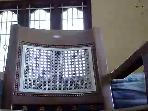 reegan889 online show from 17, 1, 2026