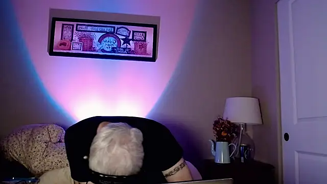 Snarfle82 online show from 17, 11, 2025