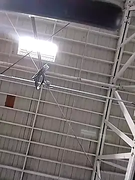 Daddy hook online show from 5, 12, 2024