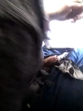 Wero4200 online show from 4, 2, 2026