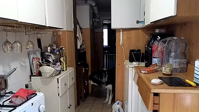 Snapshot of VanessaDoyle chatting on 26, 2, 2026 VanessaDoyle online show from 26, 2, 2026