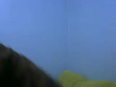 Forsia online show from 6, 2, 2025