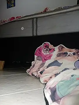 Snapshot of Van3orgasm4me chatting on 13, 2, 2026 Van3orgasm4me online show from 13, 2, 2026