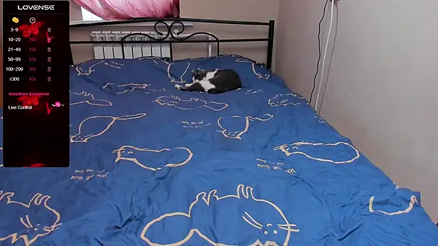 eva zero online show from 3, 11, 2025