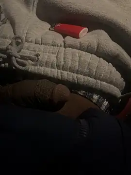 Snapshot of dingoding chatting on 22, 2, 2025 dingoding online show from 22, 2, 2025