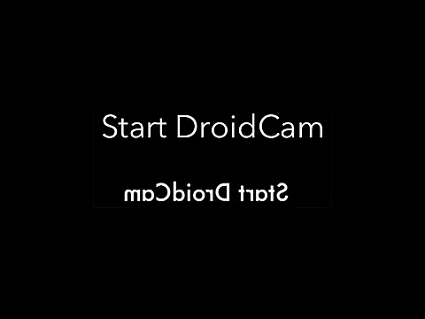 feathersify online show from 24, 11, 2025