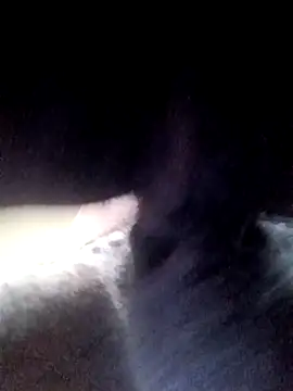 yellowwetfox online show from 21, 3, 2026