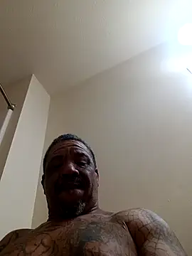 yellowwetfox online show from 12, 4, 2026