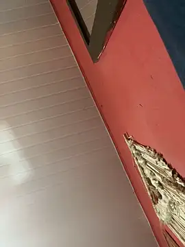 pimenta gaby online show from 18, 10, 2025