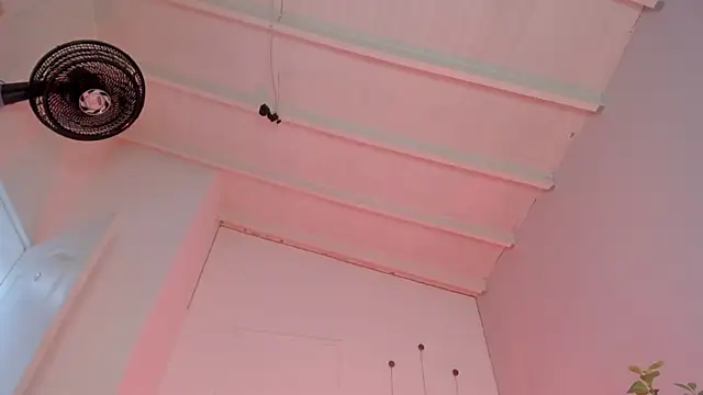 swt-booty online show from 19, 11, 2025