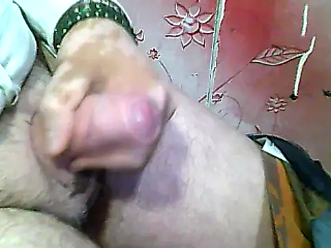 two colour cock online show from 27, 1, 2025