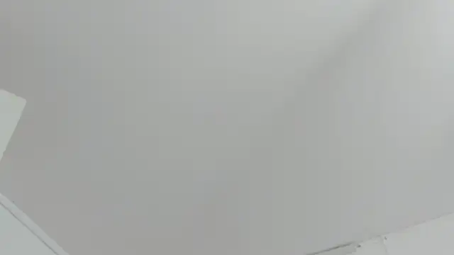 KendalStallyon online show from 22, 12, 2025