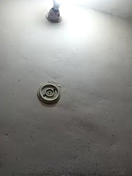 Pyarimoto online show from 28, 2, 2025