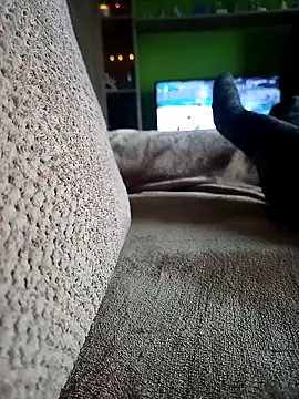 vena4 online show from 14, 2, 2026