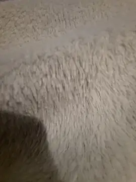 GeilerSchweizer online show from 24, 4, 2026