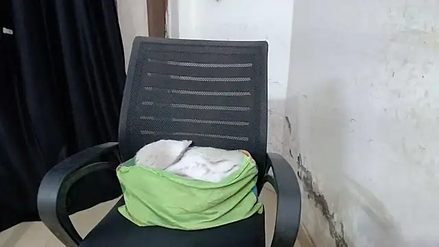 sexy vani1 online show from 10, 3, 2026